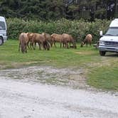 Review photo of Elk Country RV Resort & Campground by Pops A., July 11, 2022