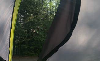 Alexis R.'s photo at Cascade River State Park Campground near Grand Marais, MN