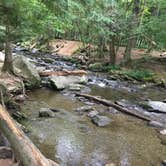 Review photo of Cades Cove Campground by Alyssa M., July 19, 2018