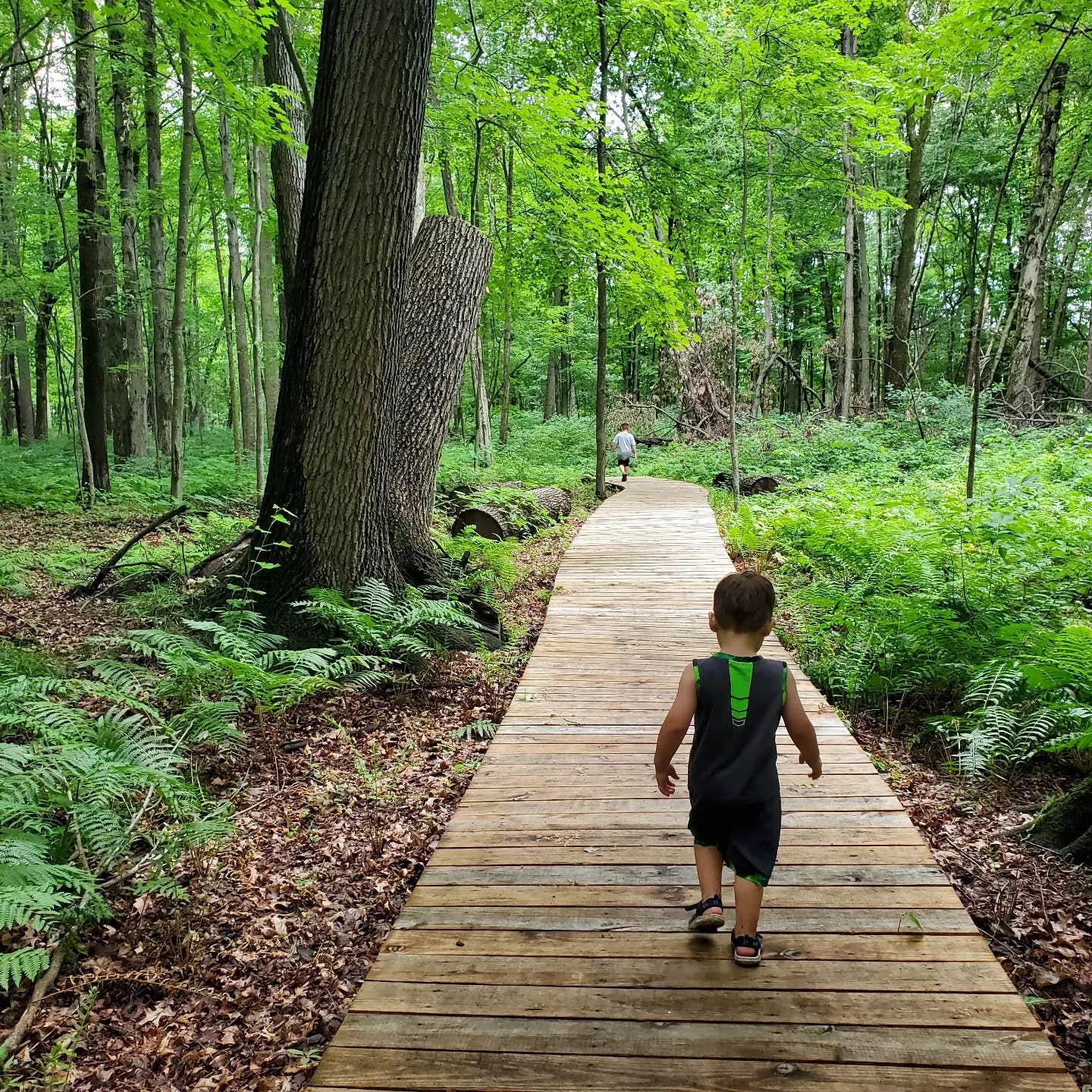 Camper-submitted photo at Cannaley Treehouse Village near Old Fort, OH
