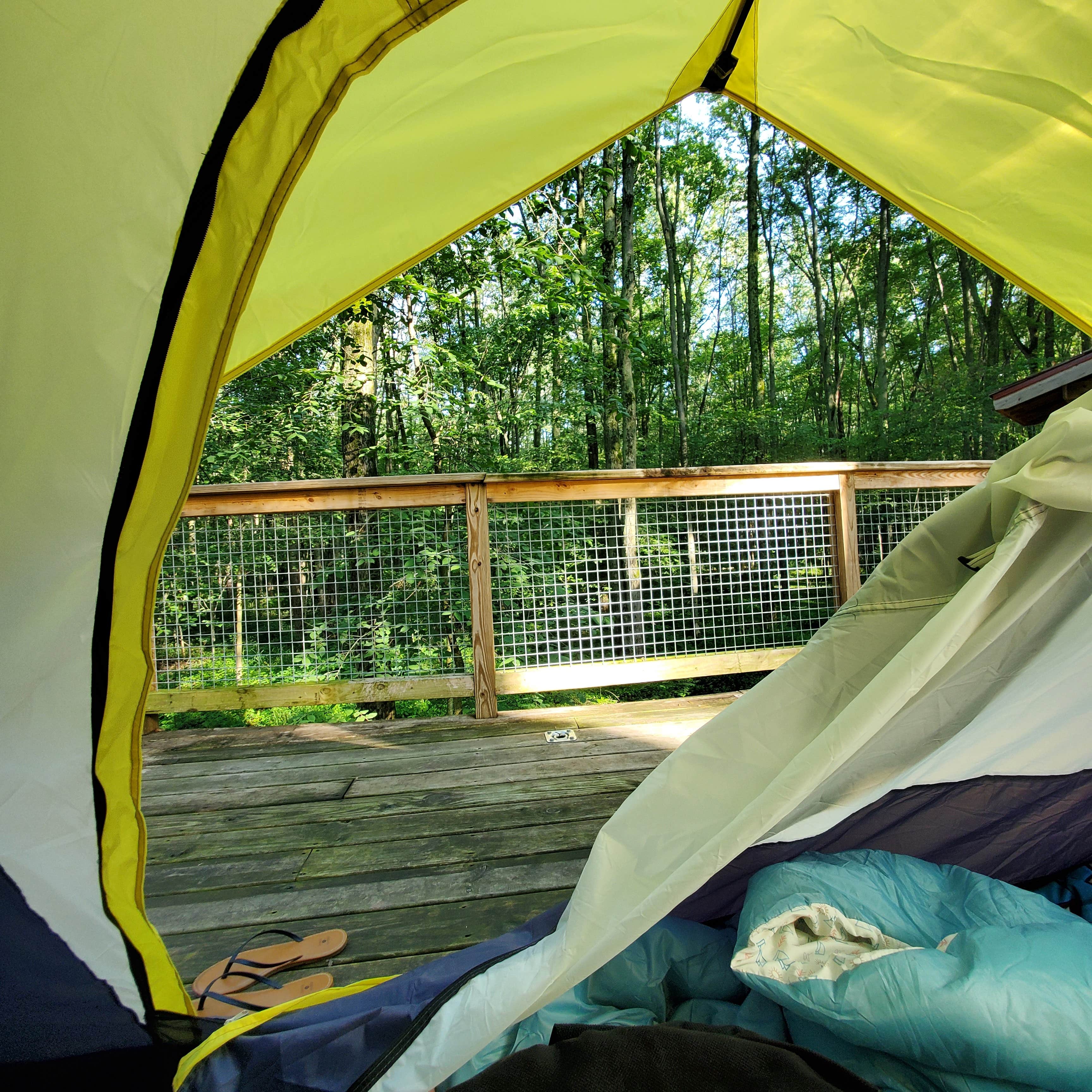 Leah R.'s photo at Cannaley Treehouse Village near Deerfield, MI