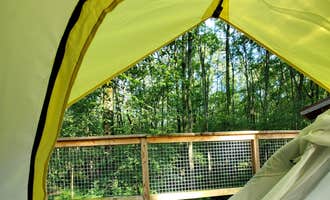Camping near Bluegrass Campground: Cannaley Treehouse Village, Swanton, Ohio
