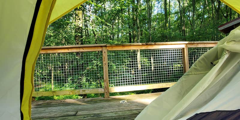 Camper submitted image from Cannaley Treehouse Village