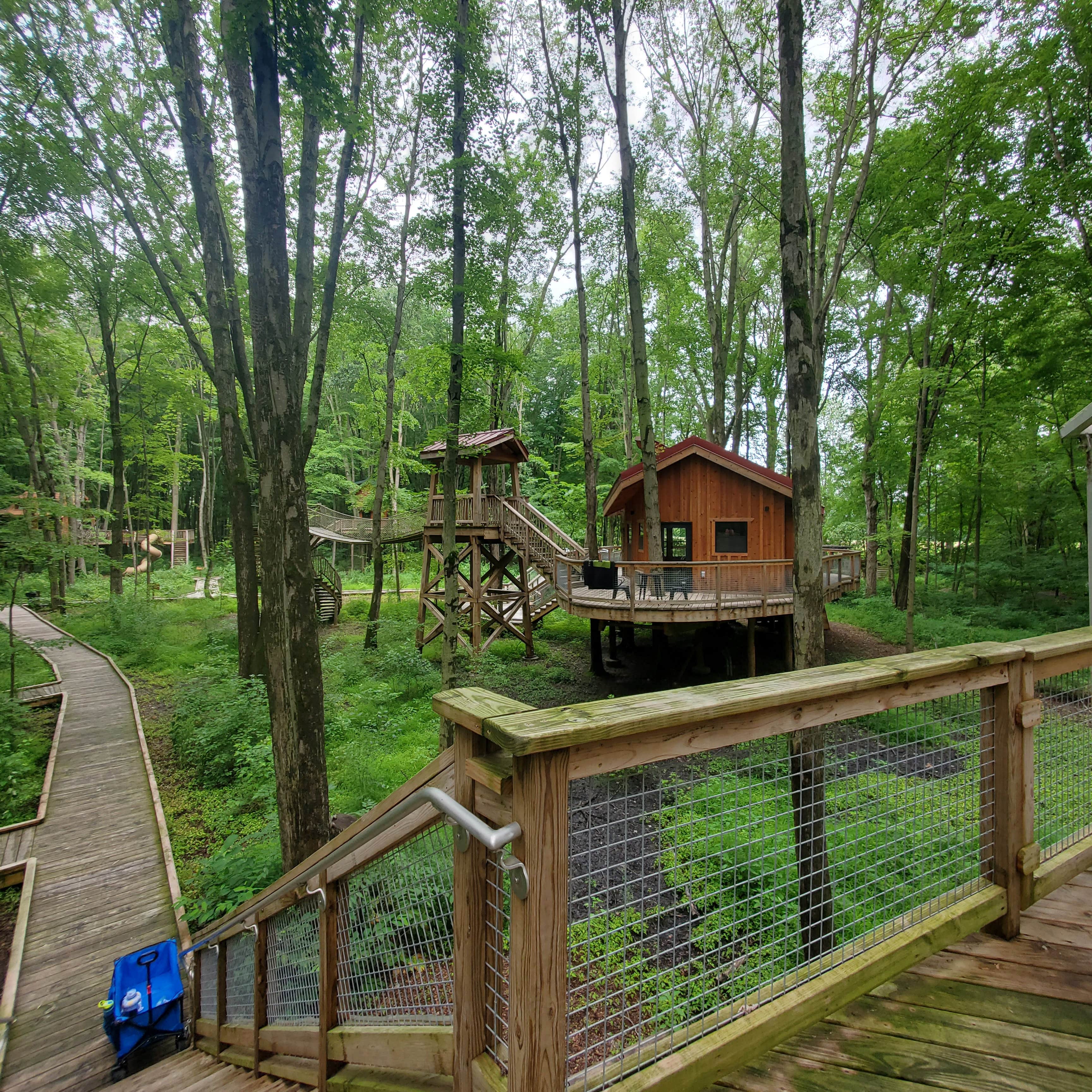Leah R.'s photo of a cabin at Cannaley Treehouse Village near Old Fort, OH