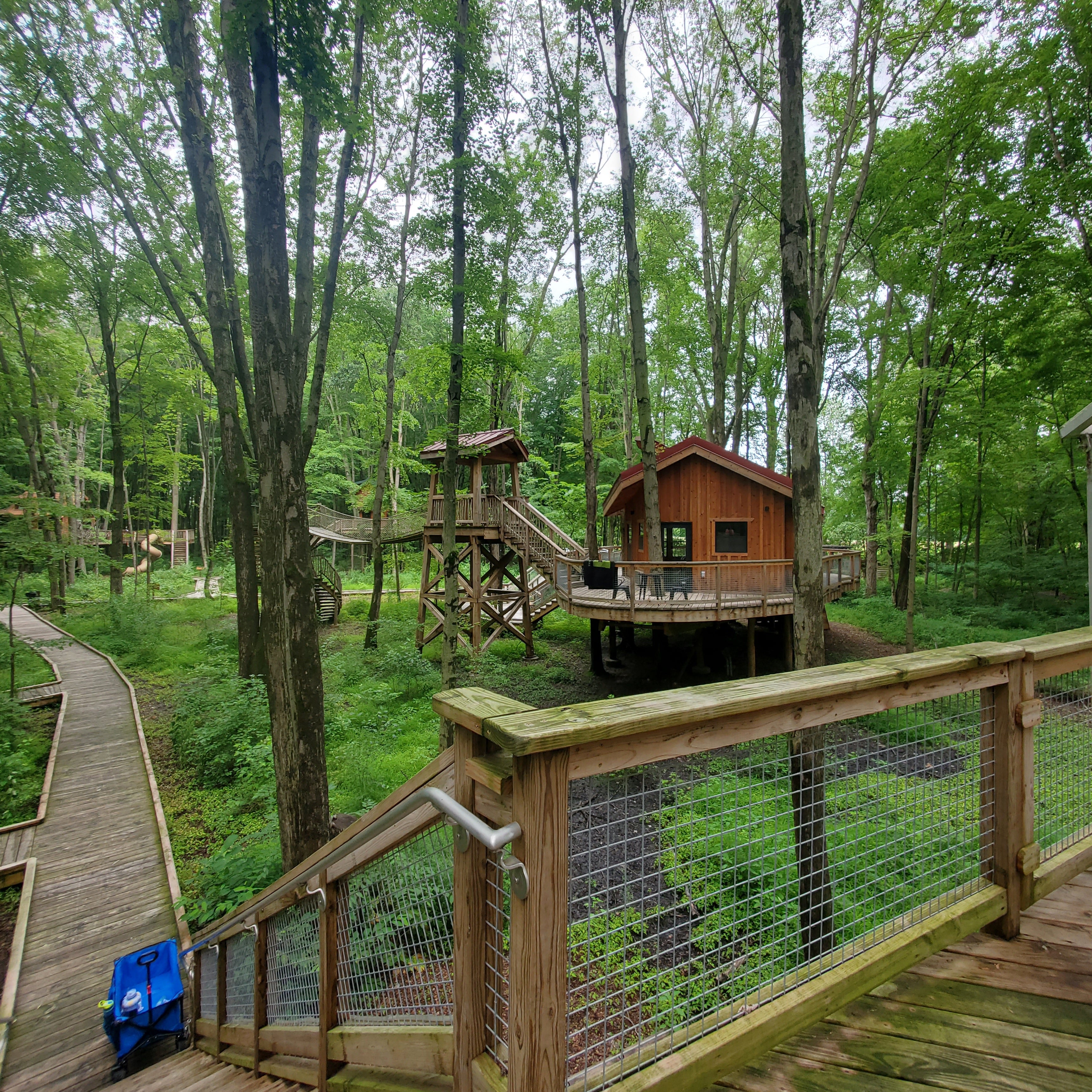 Camper submitted image from Cannaley Treehouse Village - 3