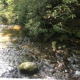 Review photo of Cades Cove Campground by Alyssa M., July 19, 2018