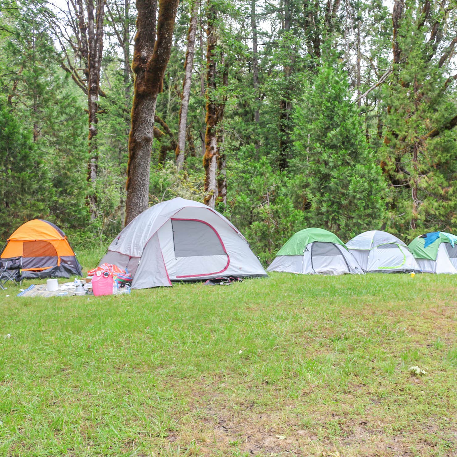 Packard Creek Campground Camping Westfir, OR The Dyrt