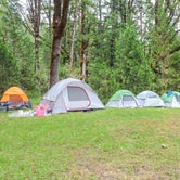 Review photo of Willamette National Forest Packard Creek Campground by Htoo R., July 11, 2022