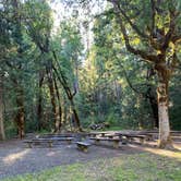 Review photo of Willamette National Forest Packard Creek Campground by Htoo R., July 11, 2022