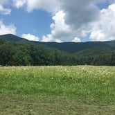 Review photo of Cades Cove Campground by Alyssa M., July 19, 2018