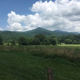 Review photo of Cades Cove Campground by Alyssa M., July 19, 2018