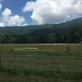 Review photo of Cades Cove Campground by Alyssa M., July 19, 2018