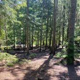 Review photo of Browns Lake Campground by Marcus K., July 11, 2022