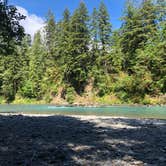 Review photo of Hoh Oxbow Campground by allison W., July 11, 2022