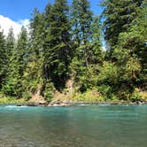 Review photo of Hoh Oxbow Campground by allison W., July 11, 2022