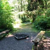 Review photo of Hoh Oxbow Campground by allison W., July 11, 2022