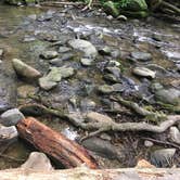 Review photo of Cades Cove Campground by Alyssa M., July 19, 2018