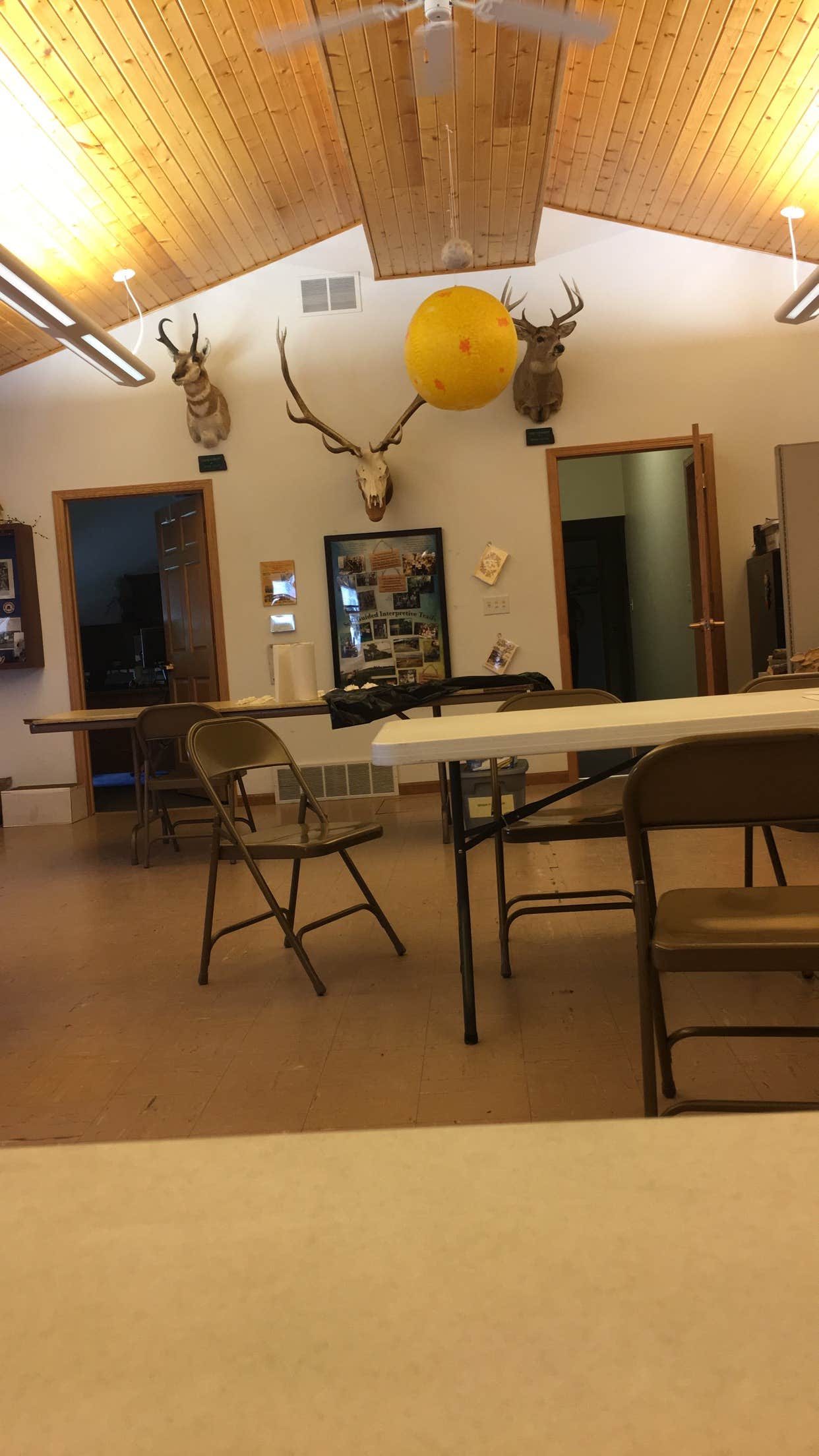 Camper submitted image from Lake Metigoshe State Park Campground - 5
