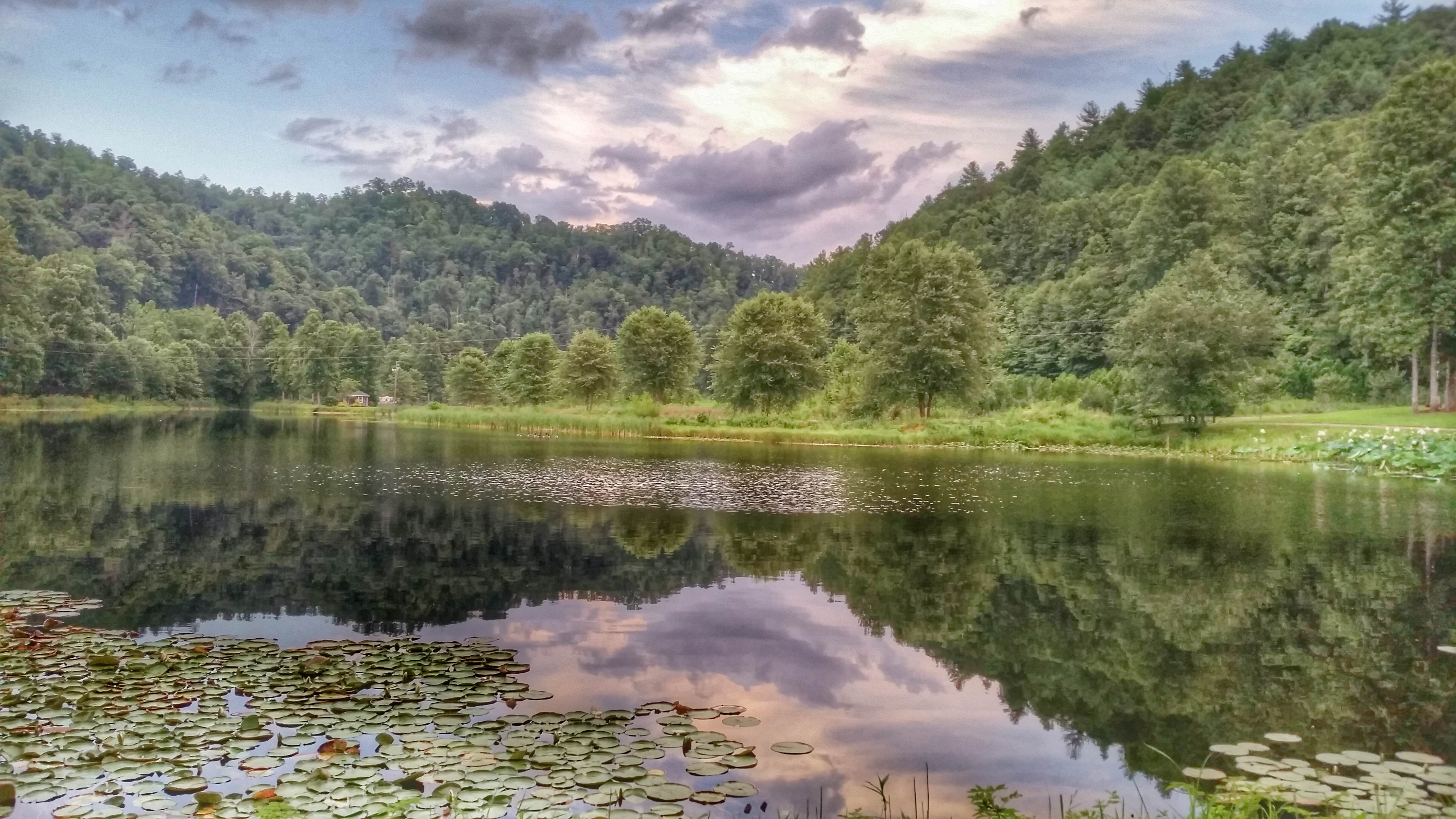 Starlite Trailer Lodge