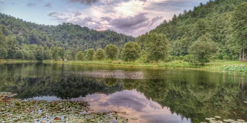 Camper submitted image from Starlite Trailer Lodge