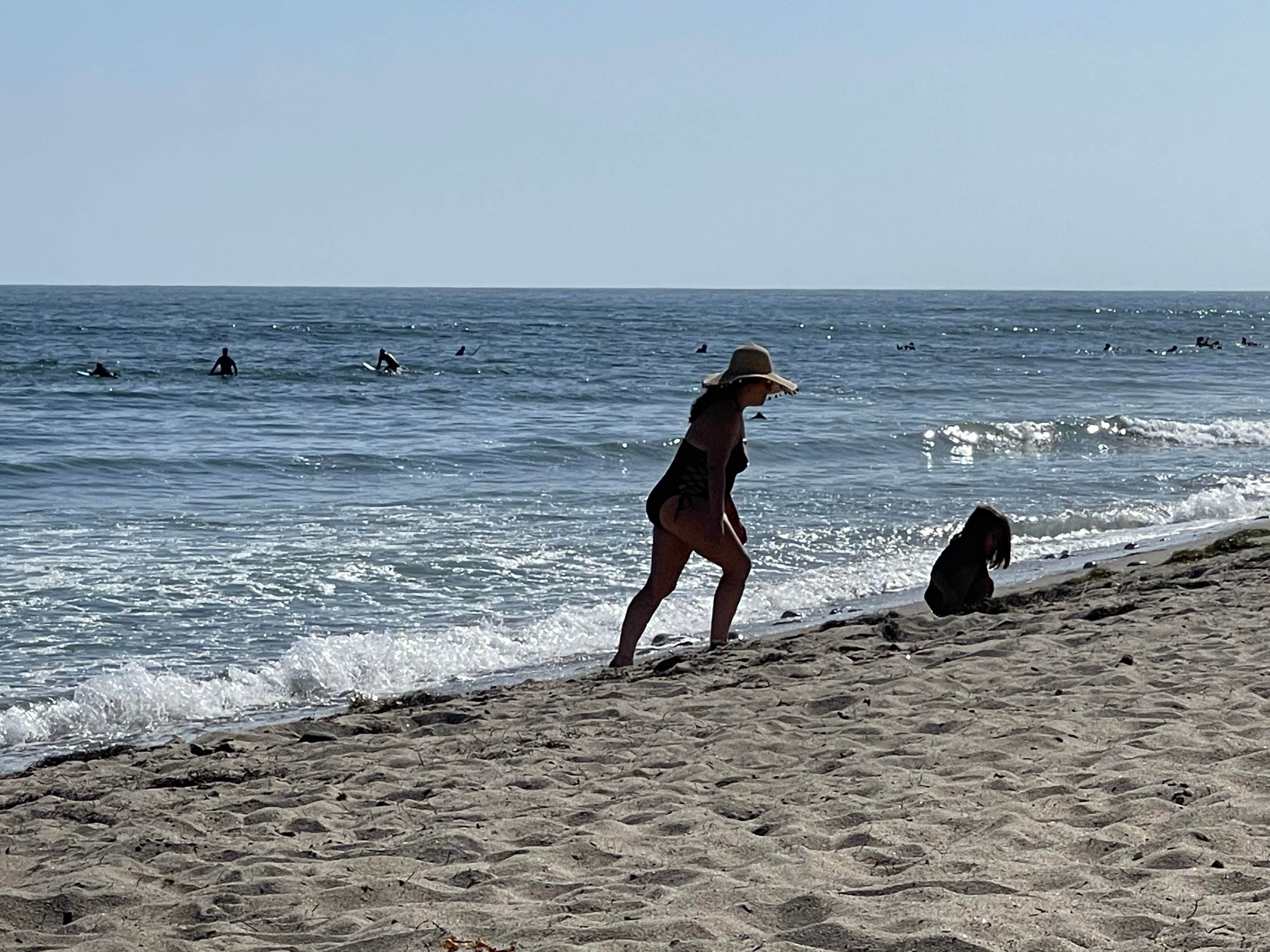 Bull's photo of camping with pets at Bluffs Campground — San Onofre State Beach near Ladera Ranch, CA