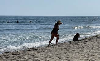 Bull's photo of camping with pets at Bluffs Campground — San Onofre State Beach near Mission Viejo, CA