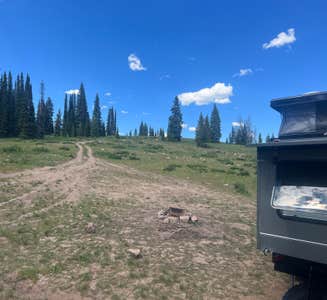 Camper-submitted photo from FR-302 Dispersed Camping - Rabbit Ears Pass