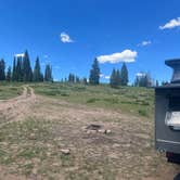 Review photo of FR-302 Dispersed Camping - Rabbit Ears Pass by Opus 15 !., July 11, 2022