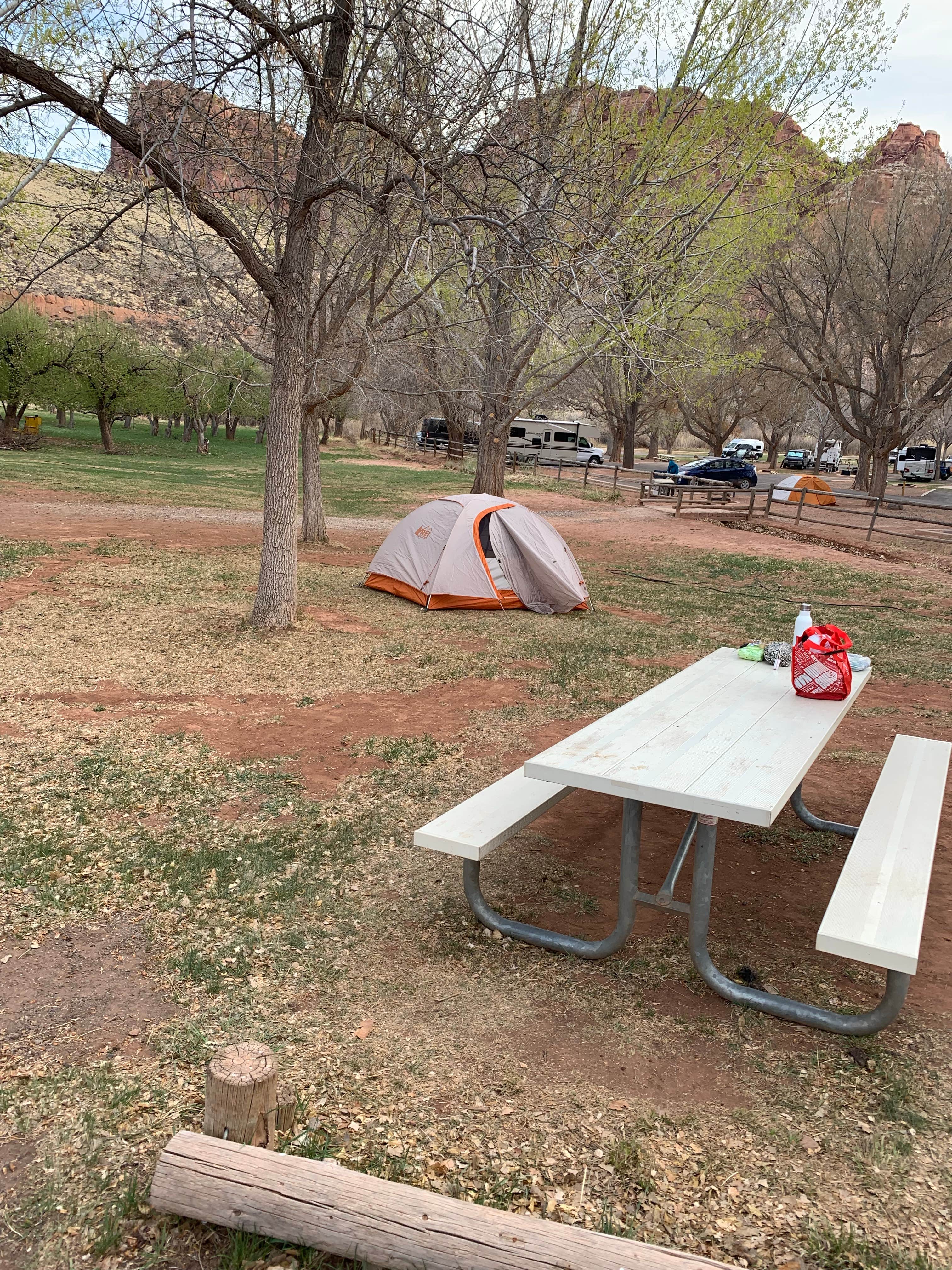 Victoria F.'s photo at Fruita Campground — Capitol Reef National Park near Capitol Reef National Park