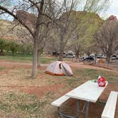 Review photo of Fruita Campground — Capitol Reef National Park by Victoria F., July 11, 2022