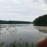 Review photo of Gifford Pinchot State Park Campground by Gina I., July 11, 2022