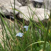 Review photo of Deep Creek Lake State Park Campground by Gina I., July 11, 2022