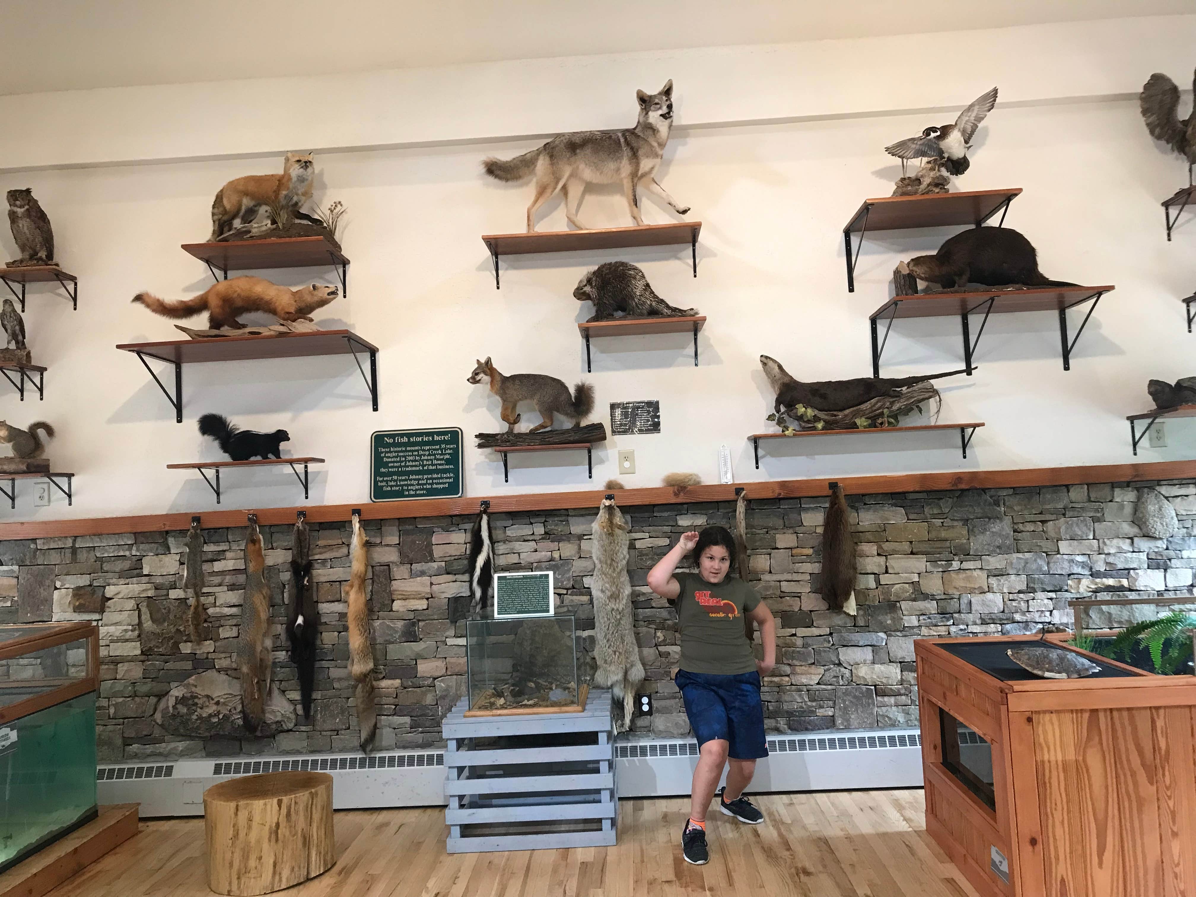 Gina I.'s photo of camping with pets at Deep Creek Lake State Park Campground in Maryland