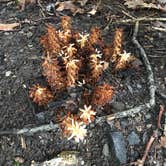 Review photo of Deep Creek Lake State Park Campground by Gina I., July 11, 2022