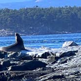 Review photo of Elwha Dam RV Park by Name , July 11, 2022