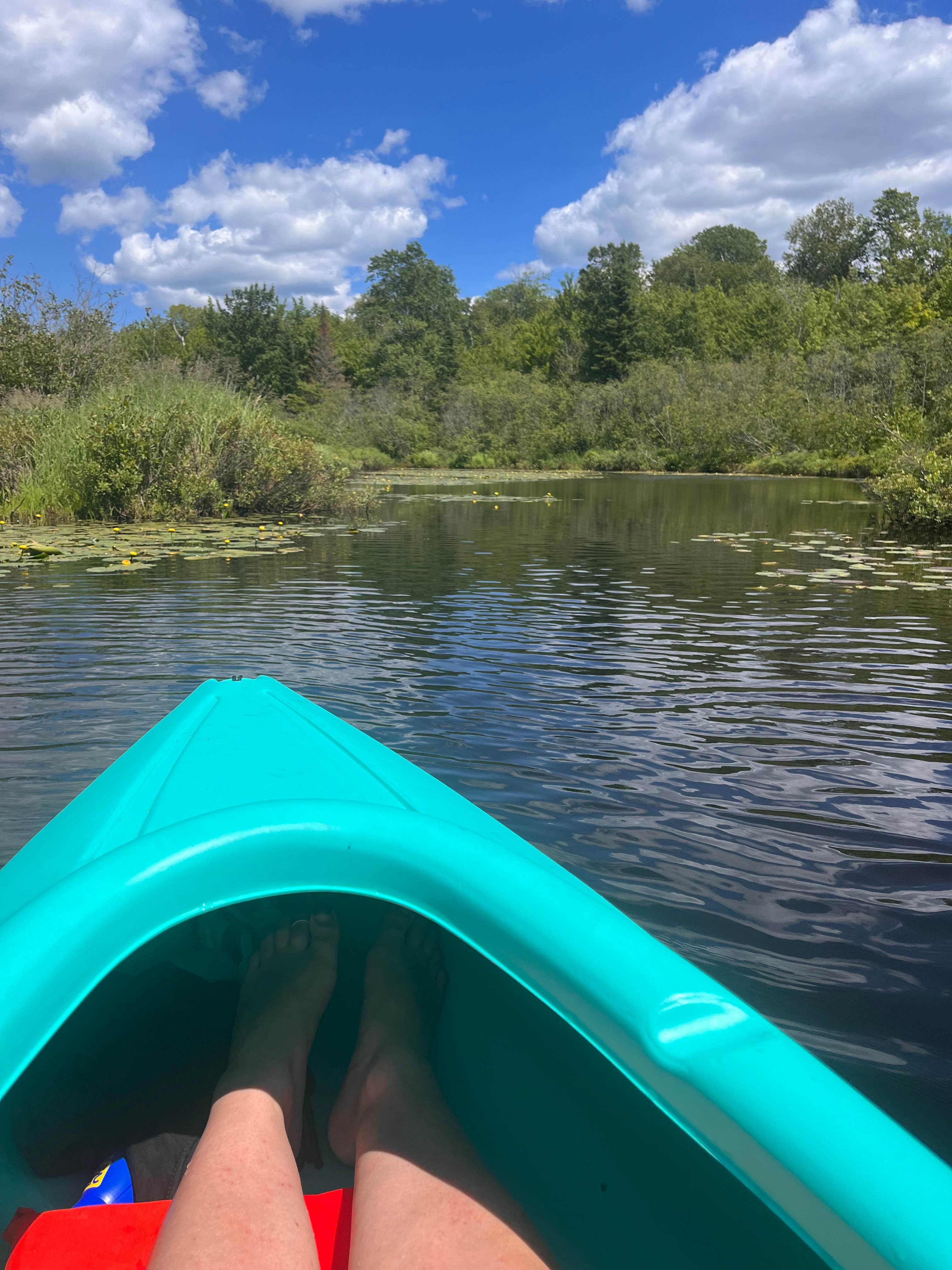 Camper-submitted photo at Trout Lake Campground near Eckerman, MI