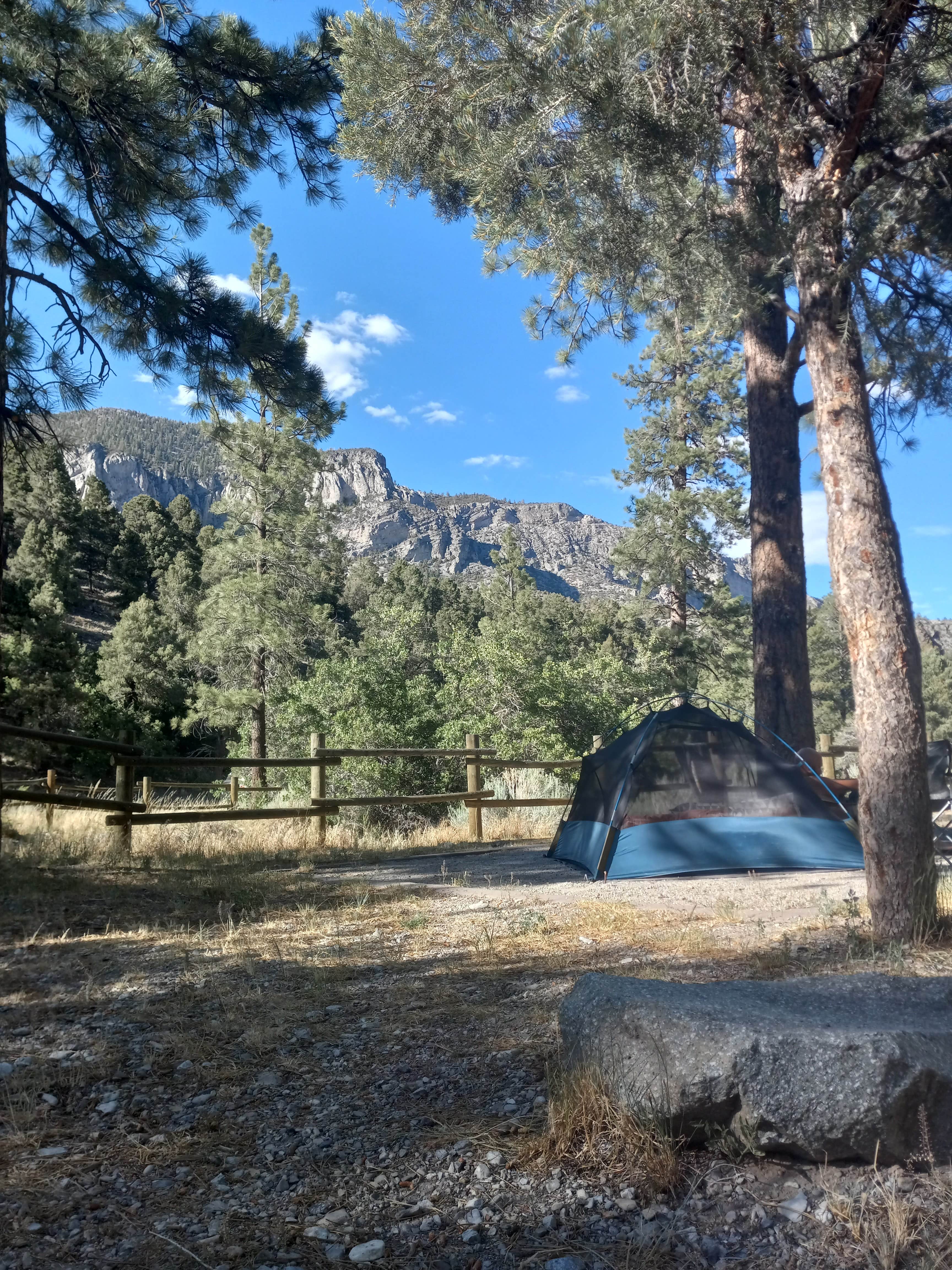Hallie's photo at Fletcher View near Mount Charleston, NV