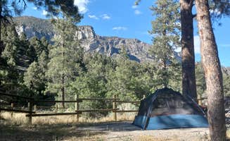 Hallie's photo at Fletcher View near Mount Charleston, NV