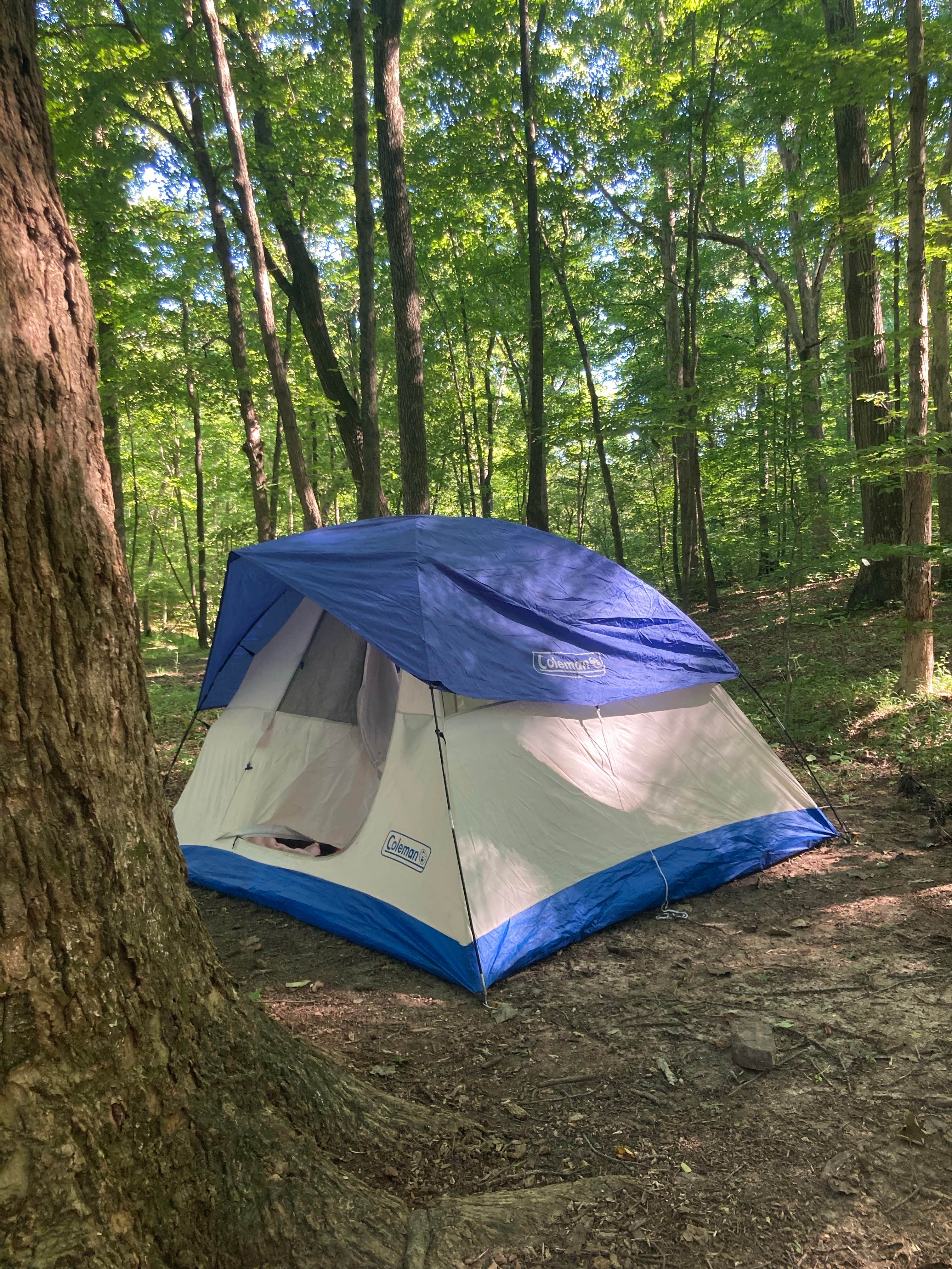 Kandice W.'s photo of a dispersed camping area at Jackson Falls near Bonnie, IL