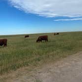 Review photo of Buffalo Gap Dispersed Camping by Alyssa L., July 11, 2022