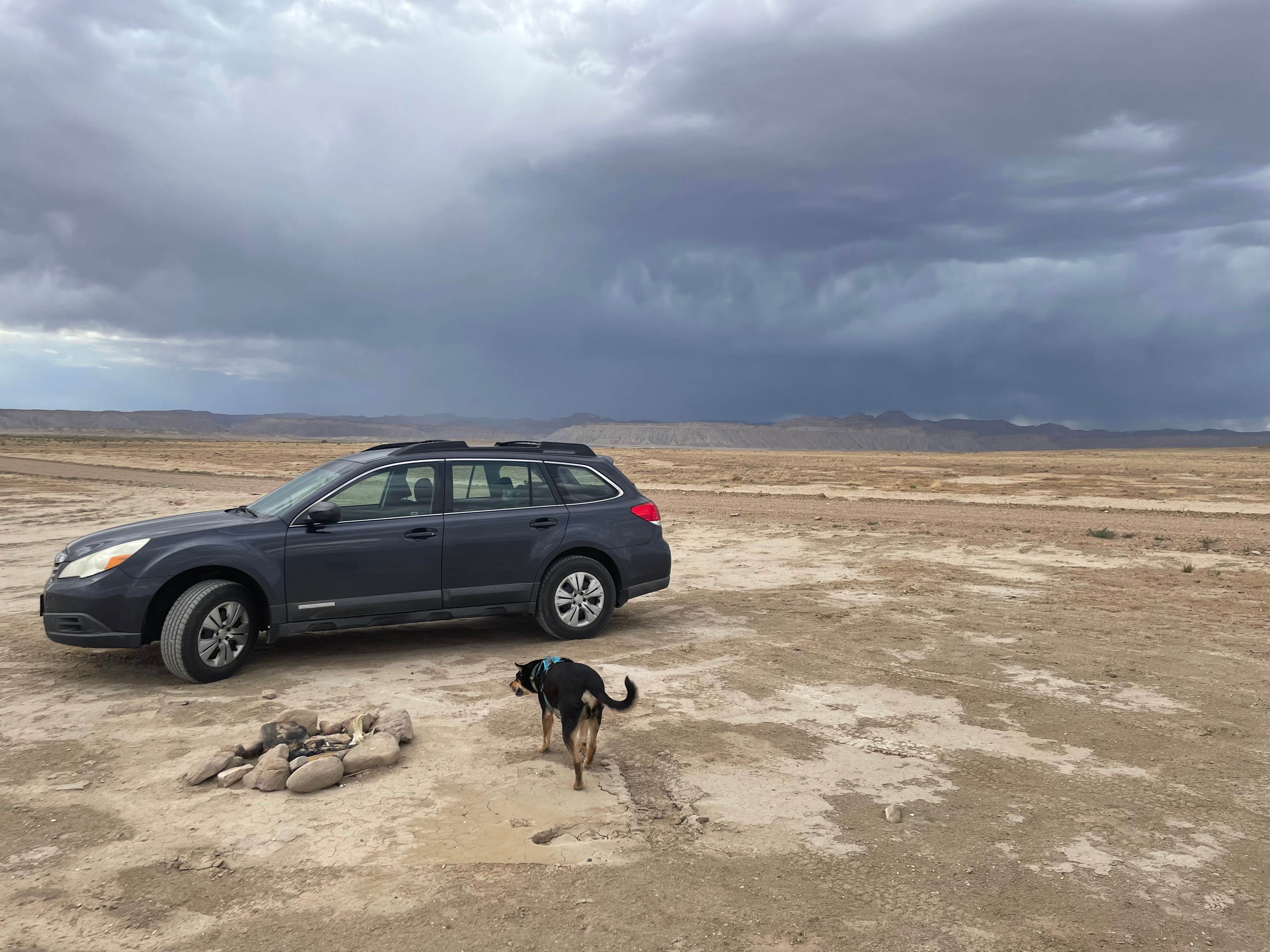 Camper submitted image from BLM Salt Valley Road Dispersed Camping - 4