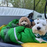 Review photo of Split Rock Lighthouse State Park Campground by Jax L., July 11, 2022