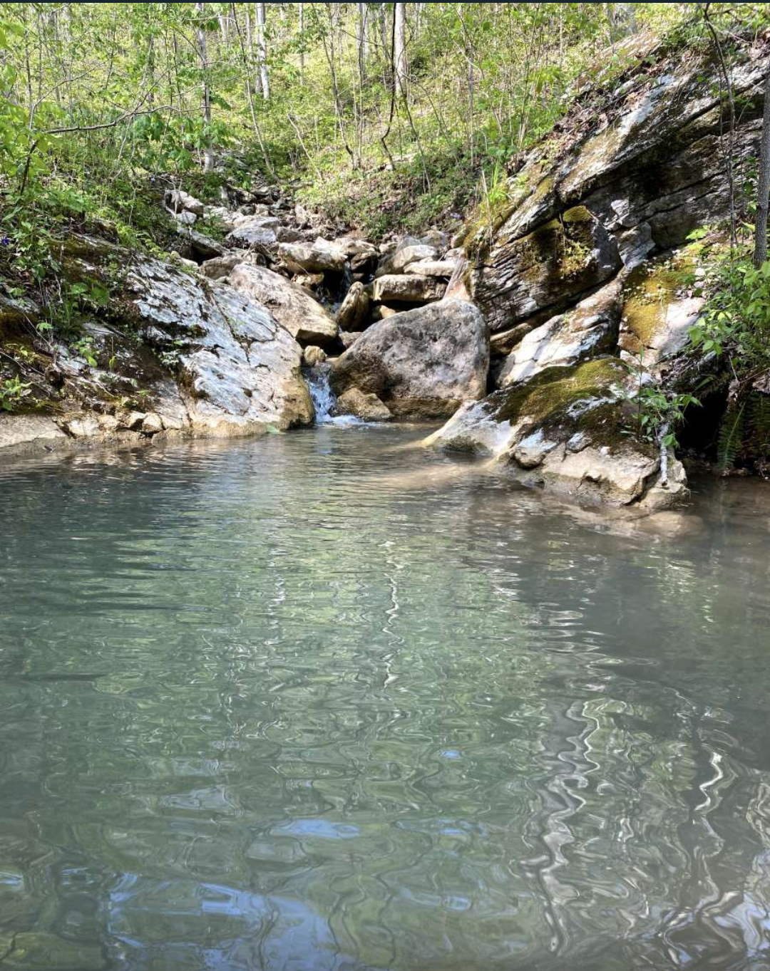 Camper-submitted photo at Nocomas Pass near Means, KY
