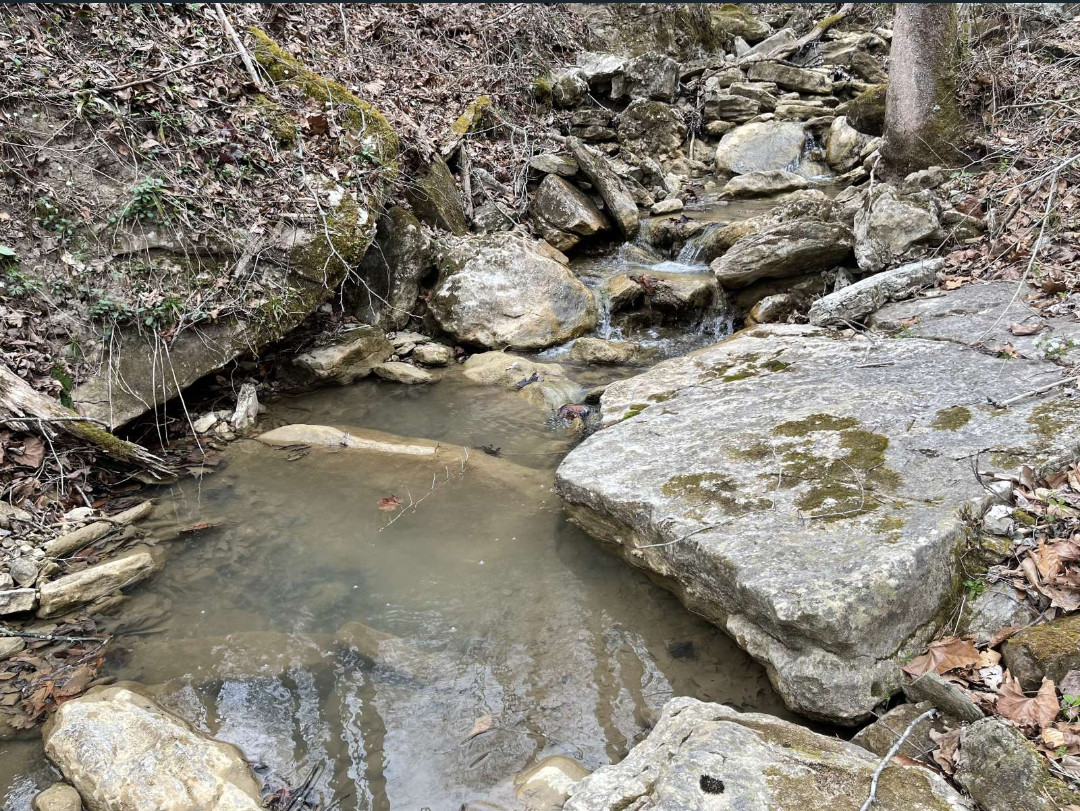 Camper-submitted photo at Nocomas Pass near Means, KY