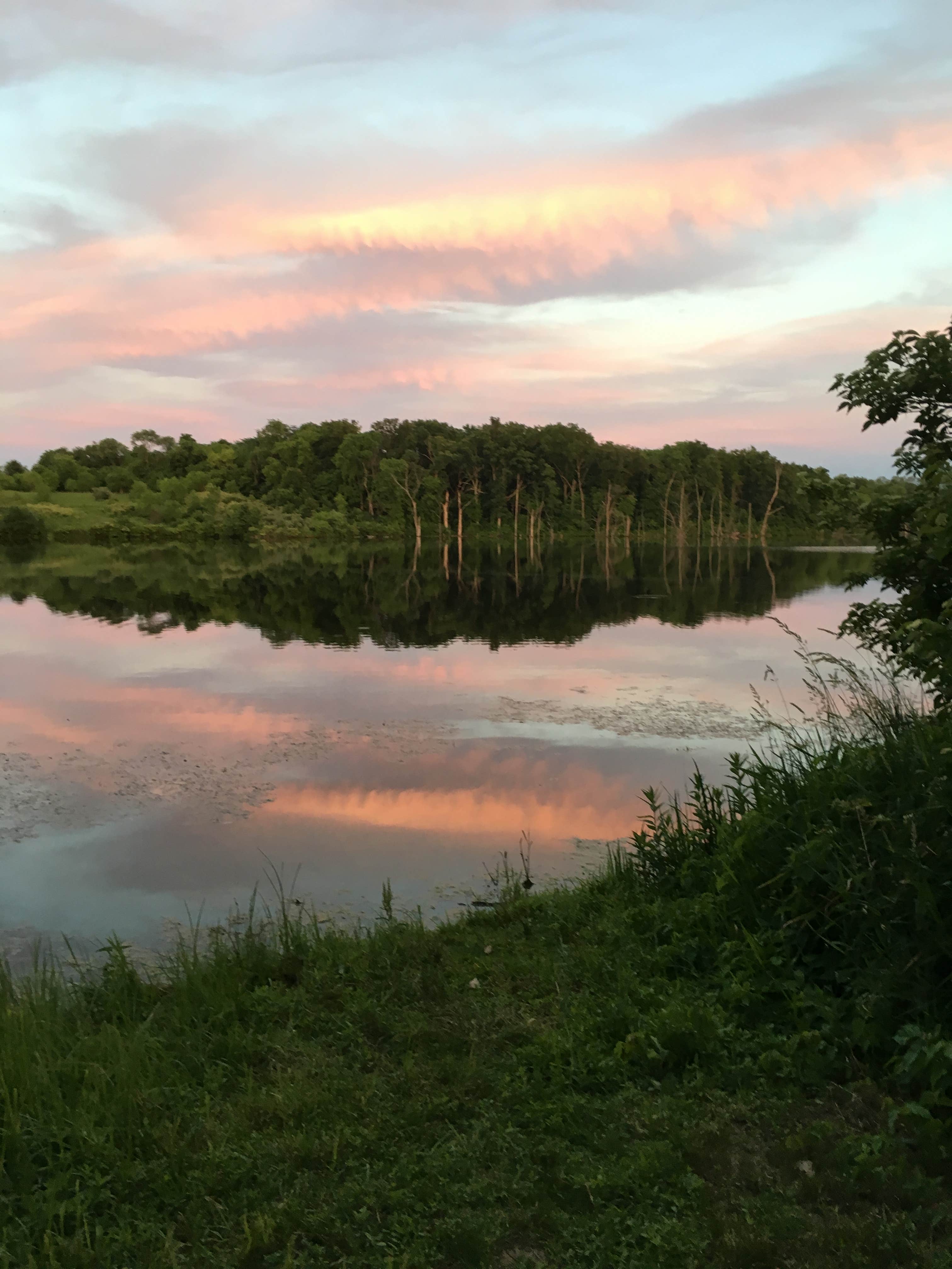 Camper-submitted photo at Primitive Campground — Jim Edgar Panther Creek State Fish and Wildlife Area near Jacksonville, IL
