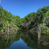 Review photo of Primitive Campground — Jim Edgar Panther Creek State Fish and Wildlife Area by Audrey S., July 19, 2018