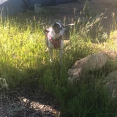 Review photo of Cimarron Campground by Jade T., July 11, 2022