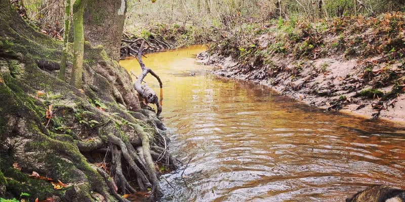 Camper submitted image from HOMESTEAD AT OPAL SPRINGS