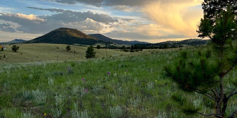 Camper submitted image from Hummingbird Homestead