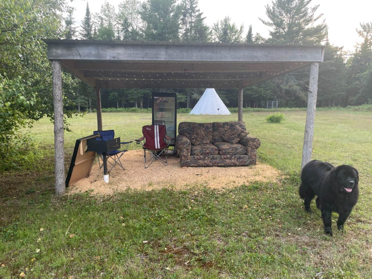 Bryant B.'s photo of camping with pets at North Woods Camping Resort near Willimantic, ME